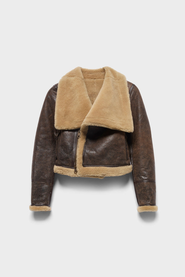 HIGH COLLAR SHEARLING JACKET in Leather
